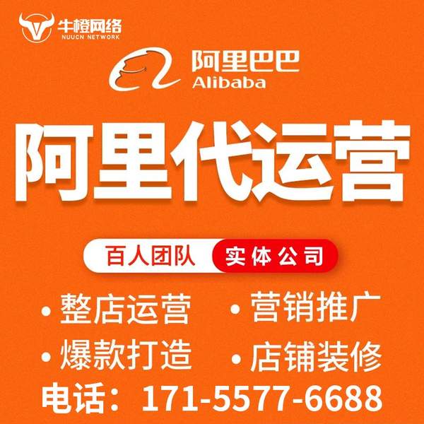 海宁电商代运营