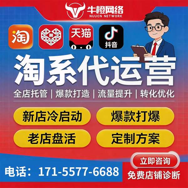 海宁电商代运营