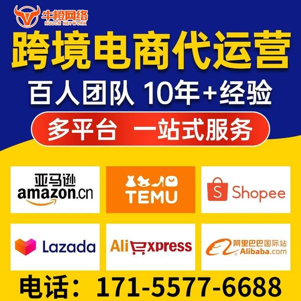 海宁电商代运营