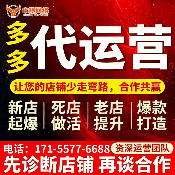 海宁电商代运营