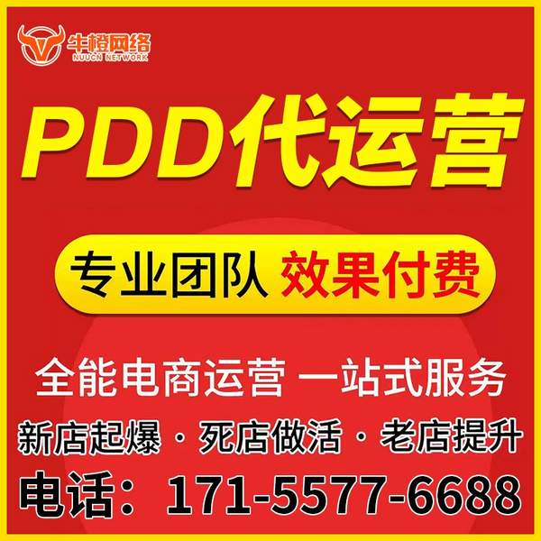 海宁电商代运营