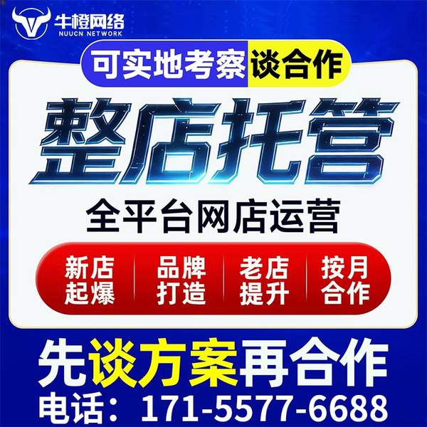 海宁电商代运营