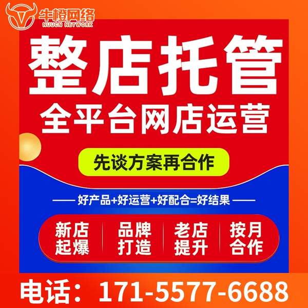 海宁电商代运营