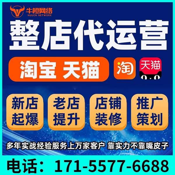海宁电商代运营