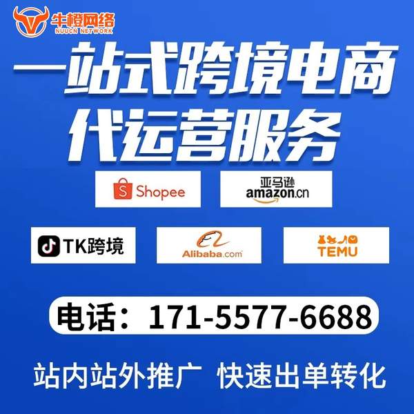 海宁电商代运营