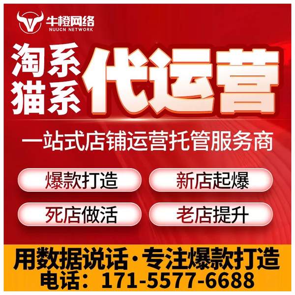 海宁电商代运营